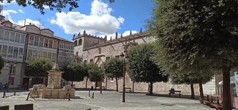 Vista amplia de la Plaza`con la fuente monumental en primer plano y la fachada señorial del palacio al fondo