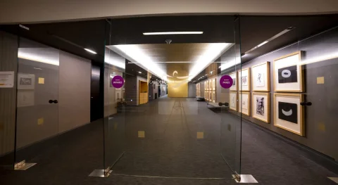 Acceso acristalado que distribuye el flujo de visitantes hacia las butacas pares e impares del auditorio