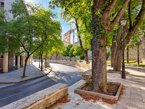 Paseo arbolado junto al lienzo de la muralla