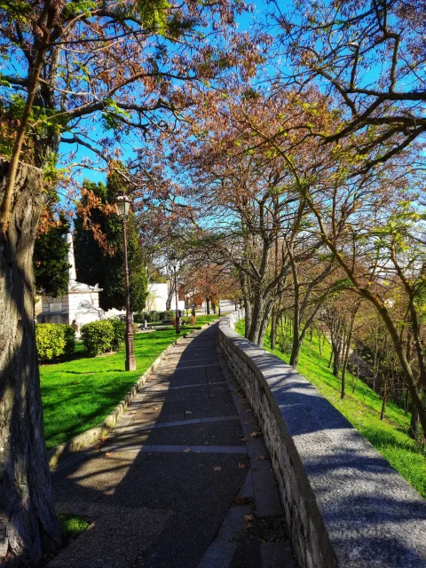 Camino peatonal empedrado con muro de piedra y arbolado a los lados en un parque ajardinado