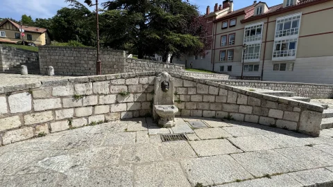 Fuente del Arco de Fernán González