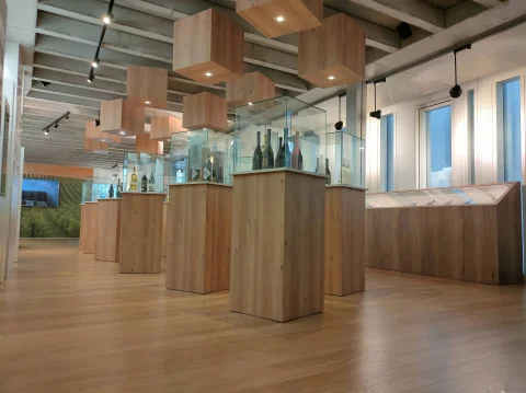 Exposición de botellas de vino en vitrinas de madera y cristal