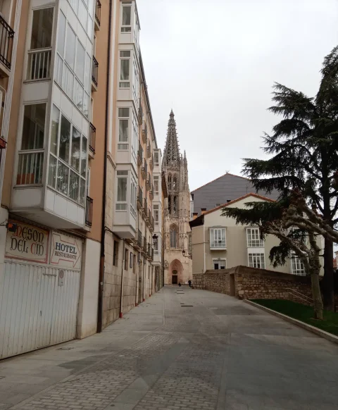 Perspectiva de la Calle Santa Águeda hacia la aguja de la Catedral