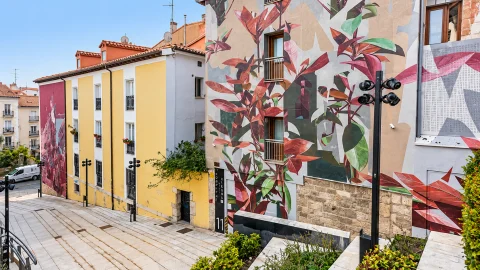 Vista de los dos murales en la calle Hospital de los Ciegos