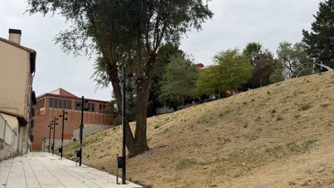 Tramo peatonal y talud verde en la Calle Álvar Fáñez de Burgos