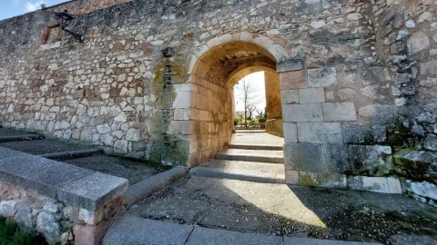 Puerta Medieval