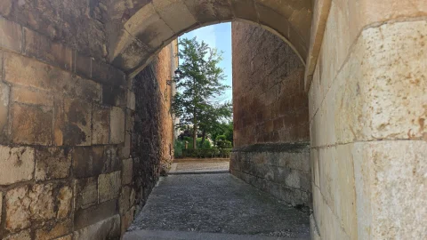Vista cercana