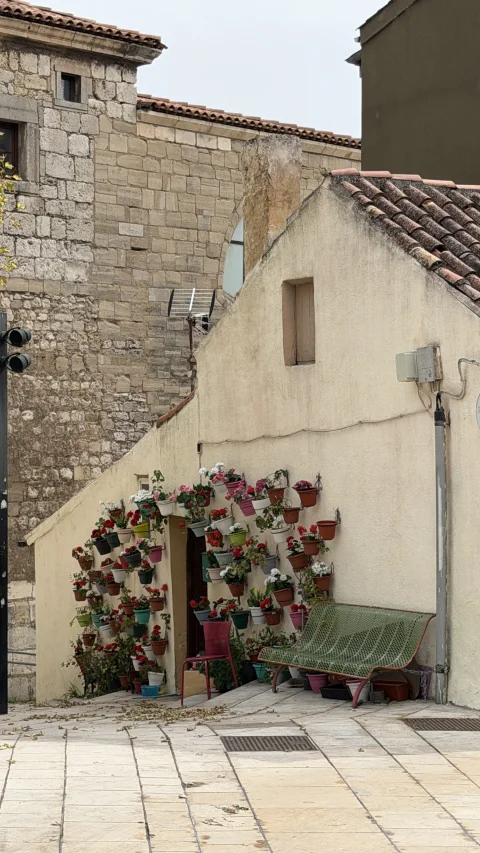 Rincón decorado con flores en la calle San Esteban de Burgos