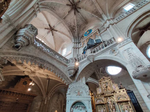 Bóvedas góticas y coro alto de la Iglesia de San Esteban