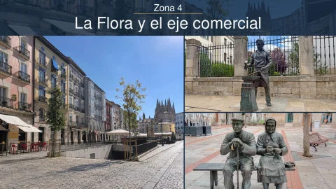 Zona 4 - La Flora y el eje comercial