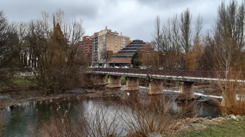 Vista panorámica de los arcos y pilas de piedra del Puente de Bessón cruzando el río en invierno