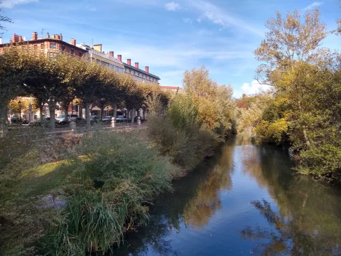 Vista del río Arlanzón y el paseo fluvial desde el Puente de Bessón