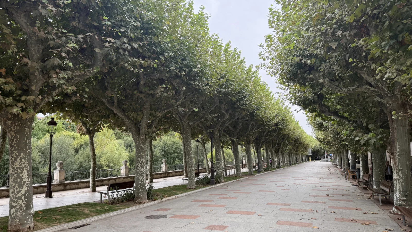 Vista general del paseo peatonal arbolado de la Audiencia en Burgos