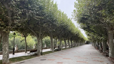 Paseo de la Audiencia