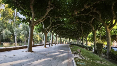 Pasillo arbolado y frondoso en el paseo junto al río