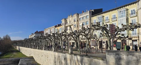 Vista panorámica del muro del paseo, los plátanos entrelazados y los edificios históricos de Burgos