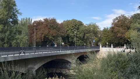 Arcos de piedra del Puente de Castilla vistos entre la vegetación del cauce del río Arlanzón