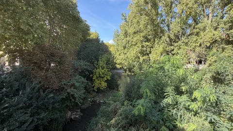 Vistas desde el Puente de Castilla hacia el Paseo de la Isla