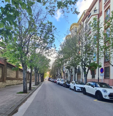 Calle Barrantes de Burgos: la calzada arbolada entre el muro del recinto y las fachadas eclécticas