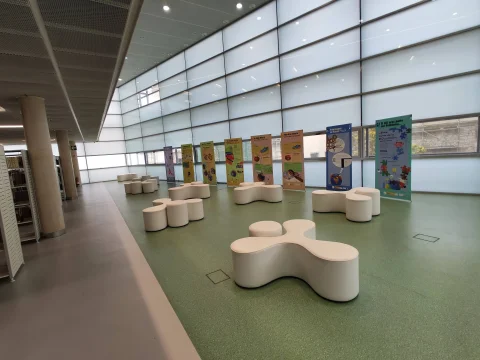 Sala diáfana de la Biblioteca Pública de Burgos con el muro de vidrio translúcido y asientos blancos
